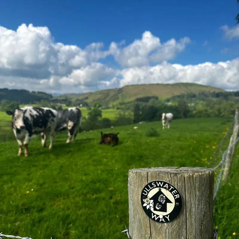 13.1-Miles-of-Determination