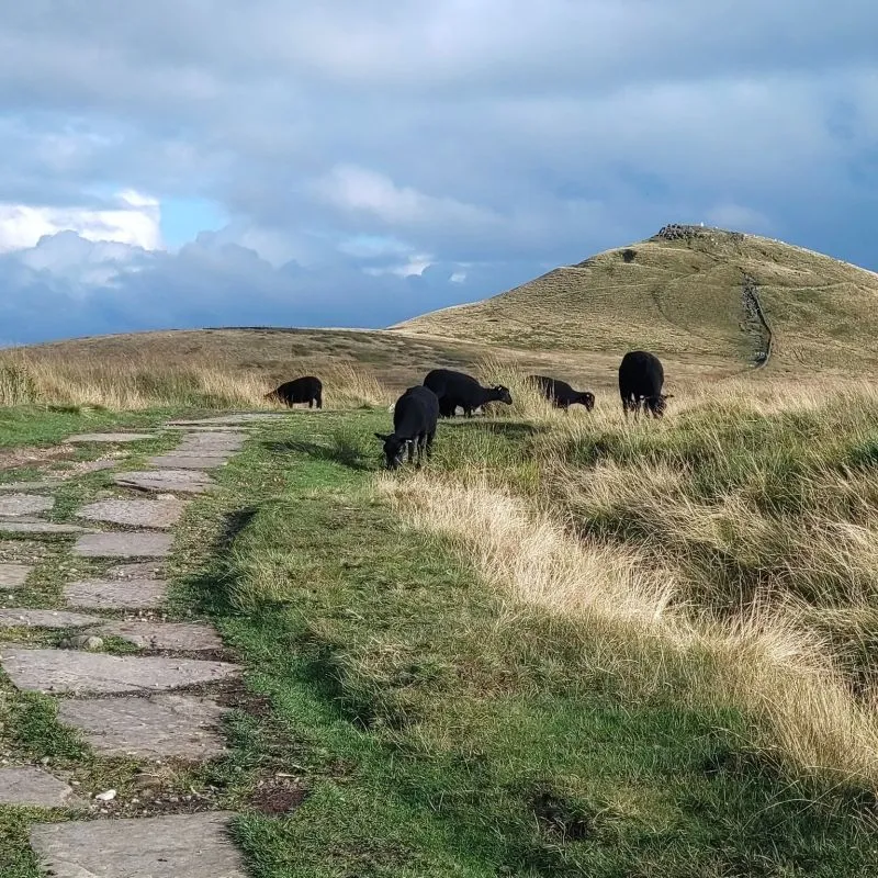 Training-Plan-for-Ultra-Marathon